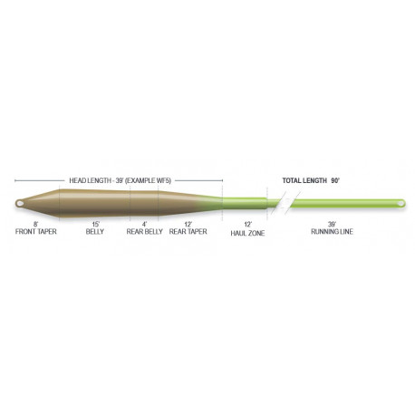 AIRFLO Ridge 2.0 Universal Taper WF 5 F