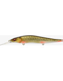 Leurre MEGABASS Vision One ten 11cm R+1 Rotengle
