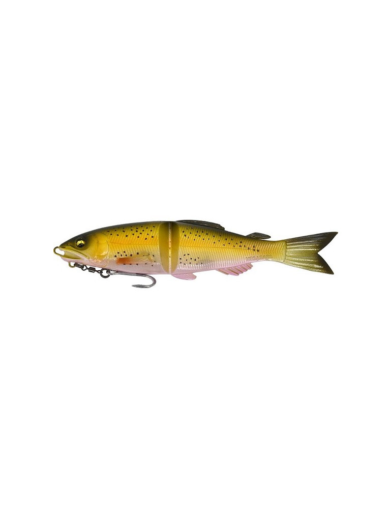 Leurre MEGABASS MagDraft Ayu twitcher raimbow trout