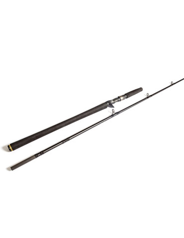 WESTIN W3 monsterstick 2m33 130-260gr