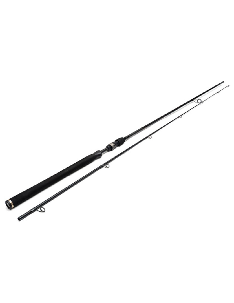 WESTIN W3 powerlure 2m40 20-60gr