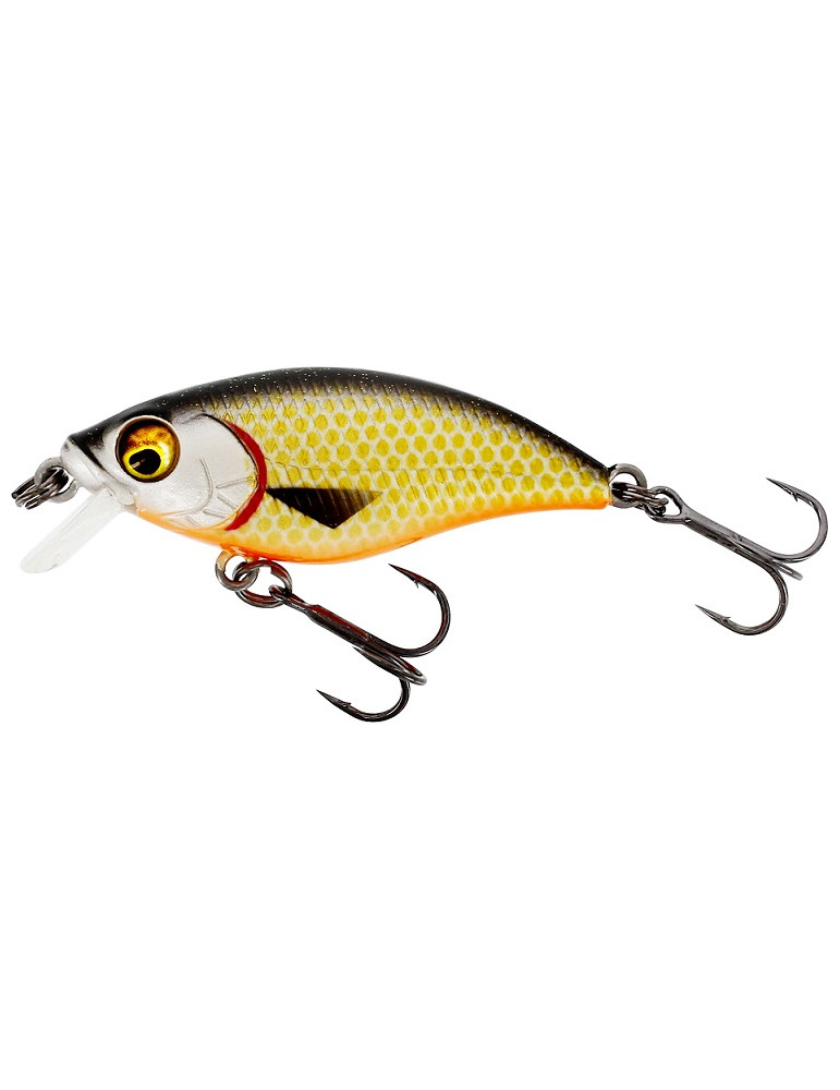 WESTIN Buzzbite cranckbait 5cm 6gr official roach