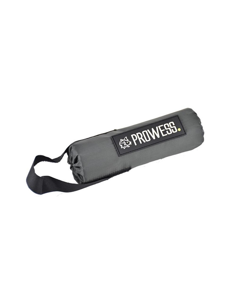 PROWESS float net
