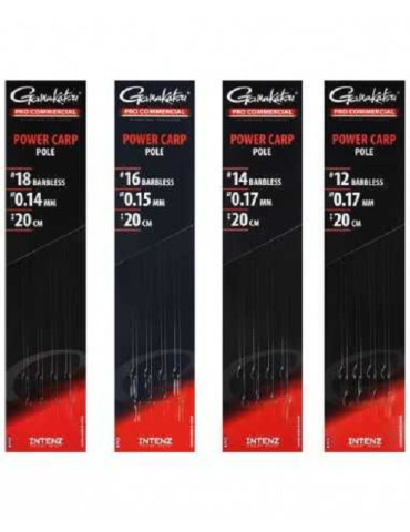 Bas de ligne GAMAKATSU power carp 20cm hamecon 18- 0.14mm intenz