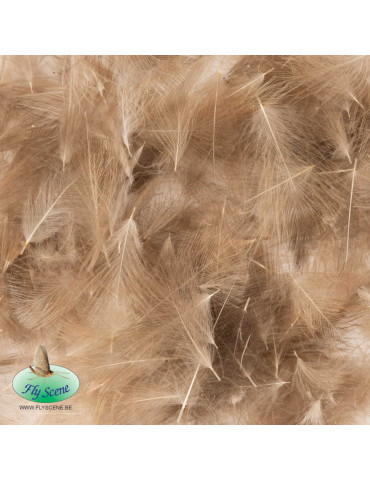 Cul de canard Canard Sauvage 1Gr FLY SCENE Brun naturel