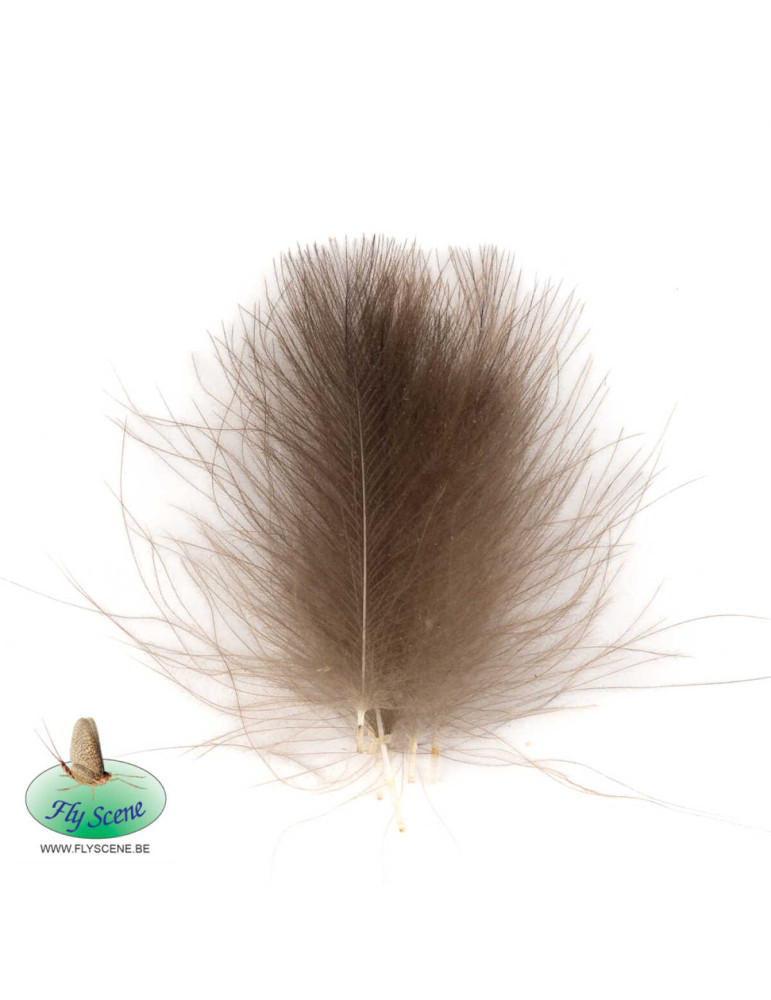 Wild Duck Cul De Canard 1Gr FLY SCENE Natural Brown