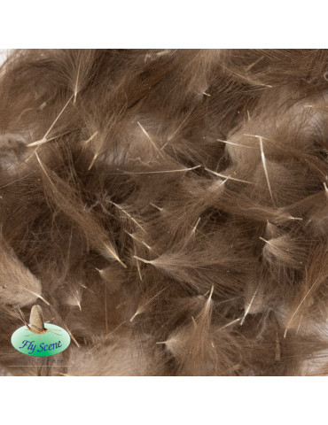 Cul de canard Canard Sauvage 1Gr FLY SCENE Gris naturel