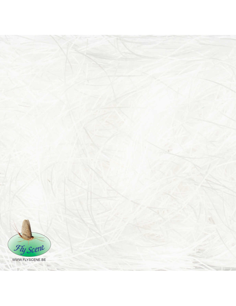 Shaggy Rubber Dubbing FLY SCENE Blanc