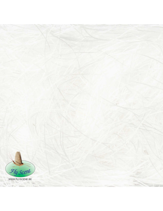 Shaggy Rubber Dubbing FLY SCENE Blanc