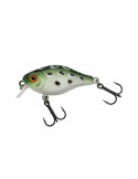 Leurre BERKLEY Pulse Fry Shallow Frog 38mm 0.4-0.7m 4.6gr