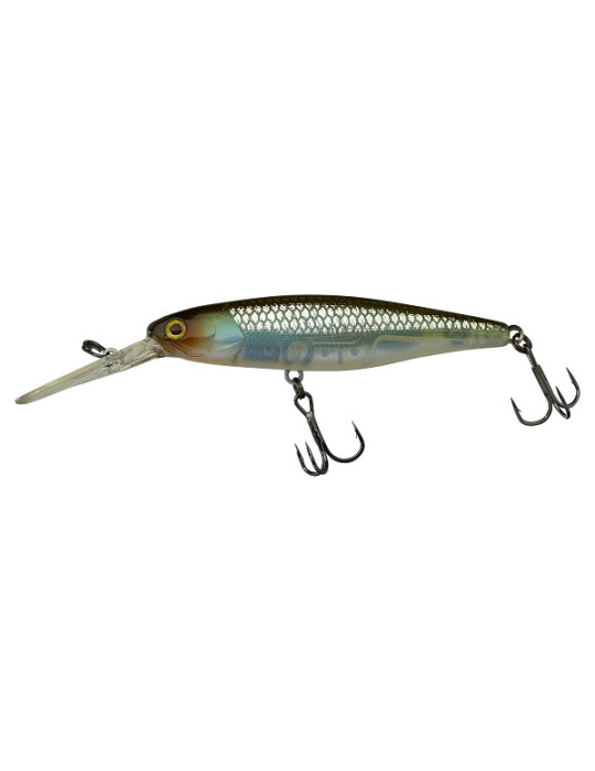 Leurre ILLEX DD Squirrel 79mm SP  HS ghost minnow