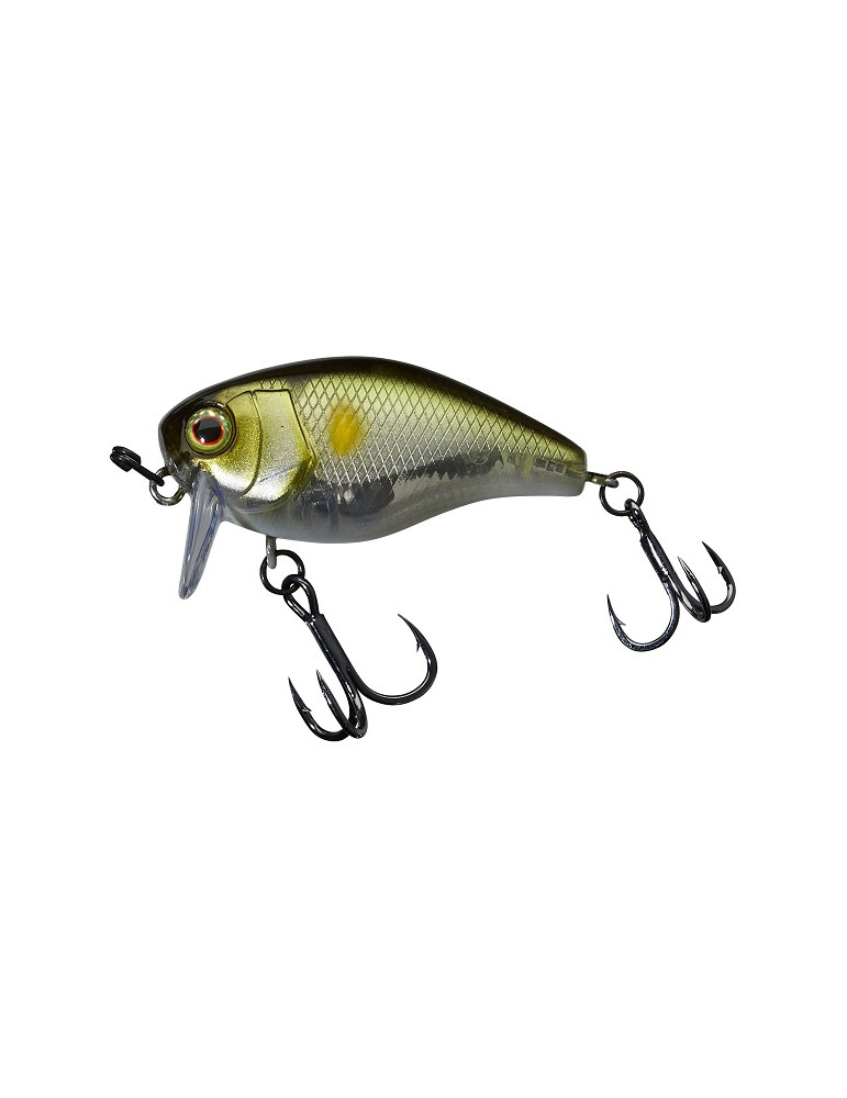 ILLEX chubby 4.1cm SSR  SG ayu