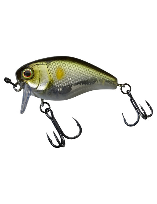 ILLEX chubby 4.1cm SSR  SG ayu