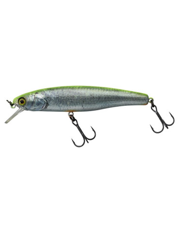 Leurre ILLEX  Arnaud 100 F RT visible roach