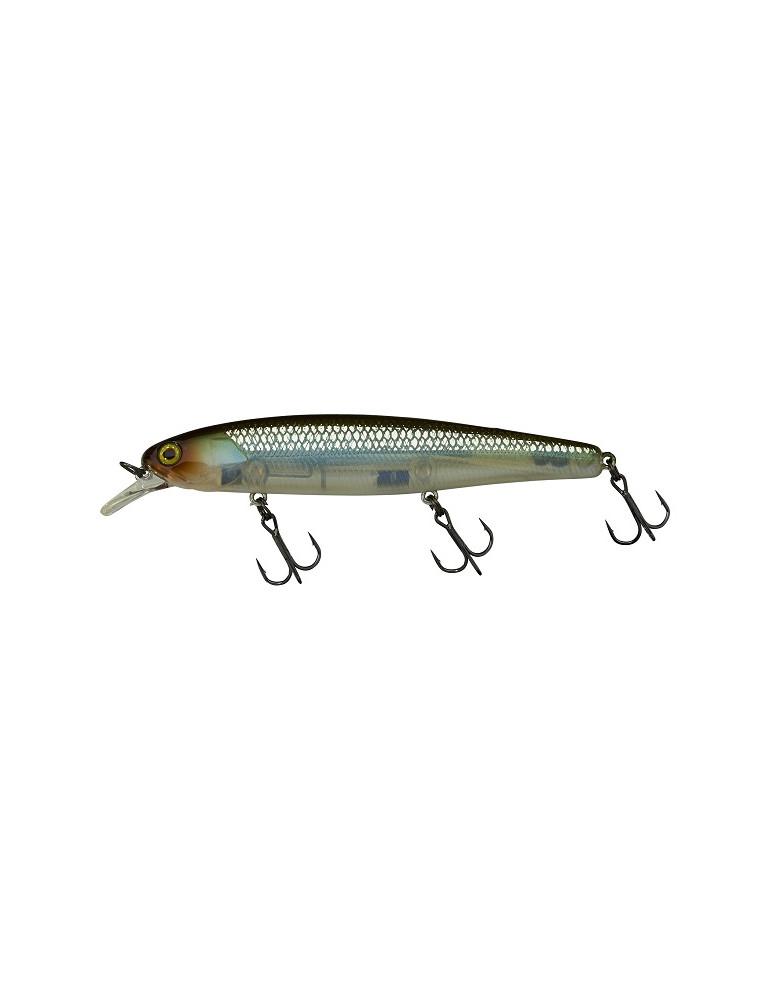 Leurre ILLEX  Arnaud 110 F HS ghost minnow