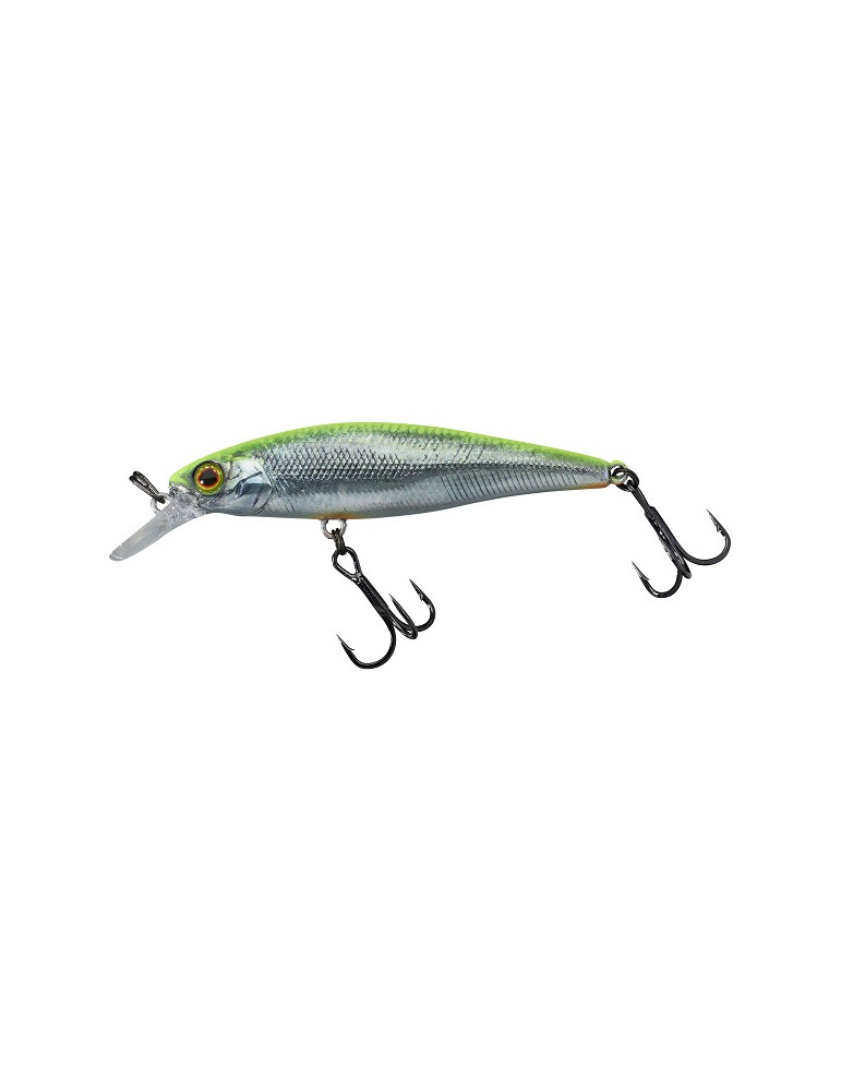 ILLEX Squad minnow 65 SP RT visible roach