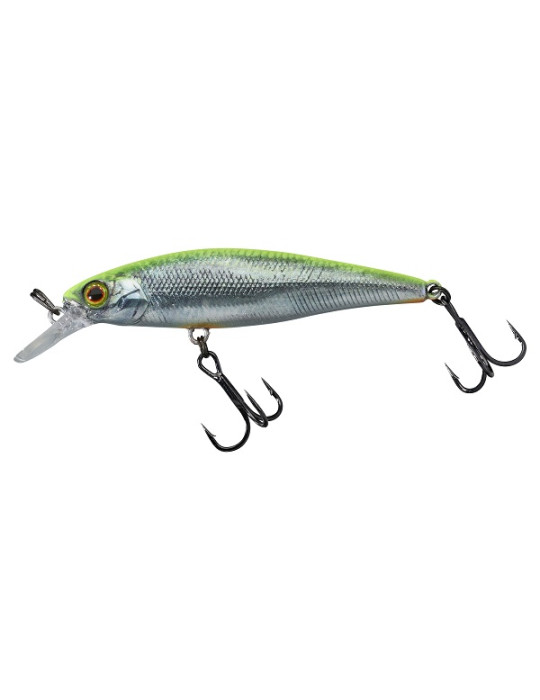 Leurre ILLEX Squad minnow 65 SP RT visible roach