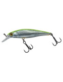 ILLEX Squad minnow 65 SP RT visible roach