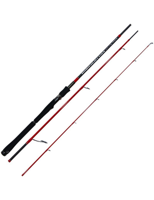 Canne TENRYU Injection SP 73M Travel 2m21  5-28gr