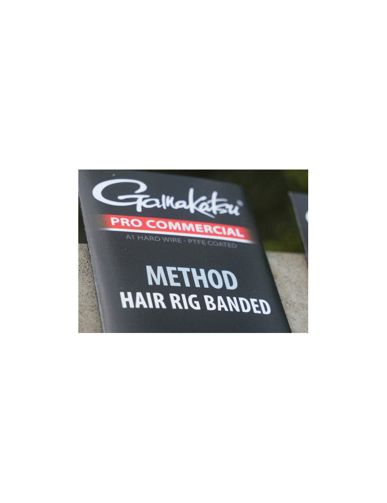 Bas de ligne GAMAKATSU method hair rig 10cm hamecon 10- 0.21mm intenz