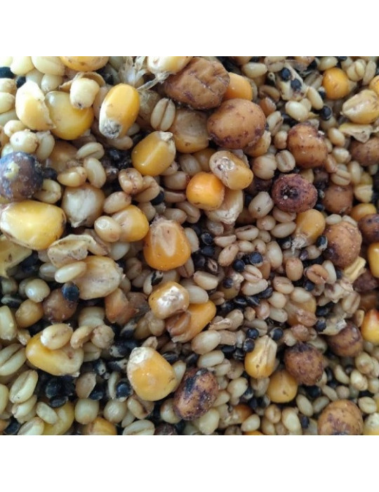 Seeds EUROFISH particule mix- 0.5L