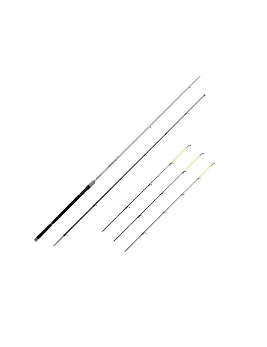 Canne FISHING FERRARI militia 3m05- 20-40gr