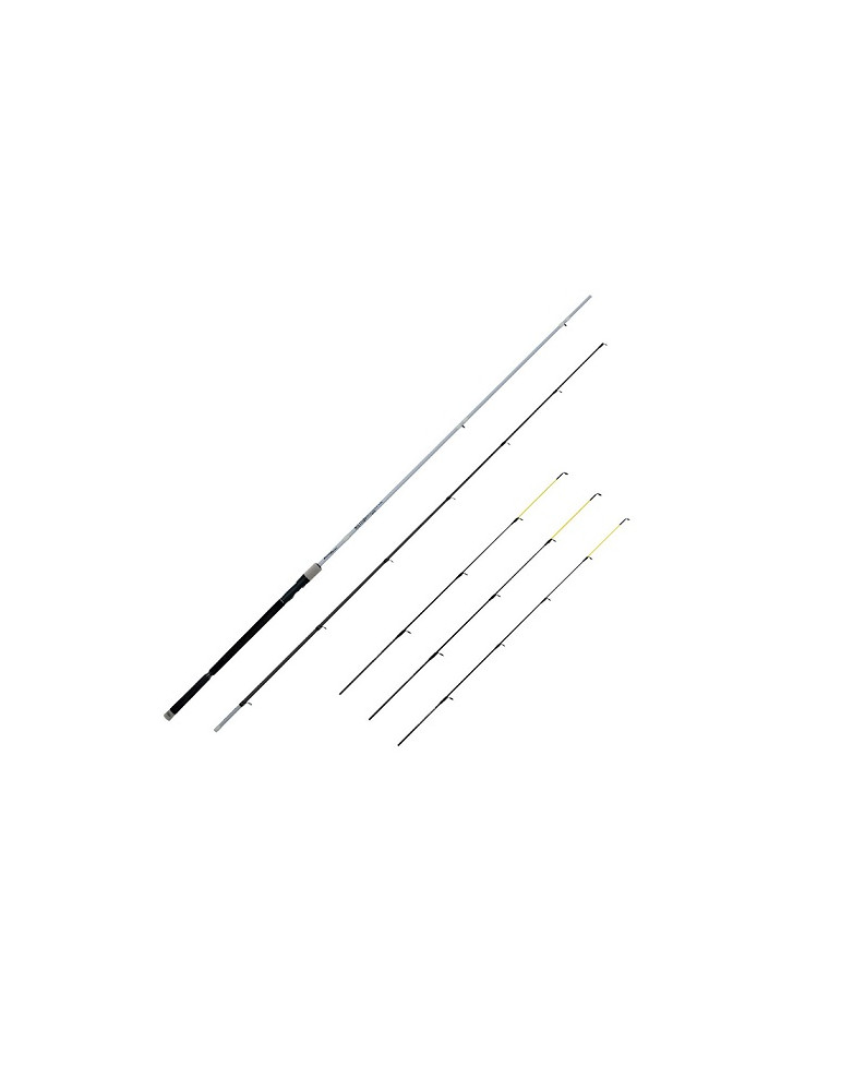 Canne FISHING FERRARI militia 3m35- 20-40gr