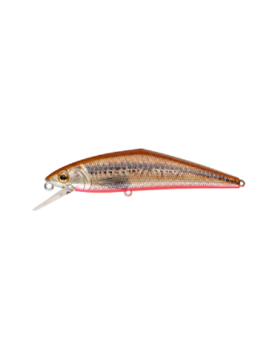 SMITH D-contact 50mm V3 lure