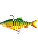 WESTIN Ricky the roach multi jointed 18cm fire tiger rudd