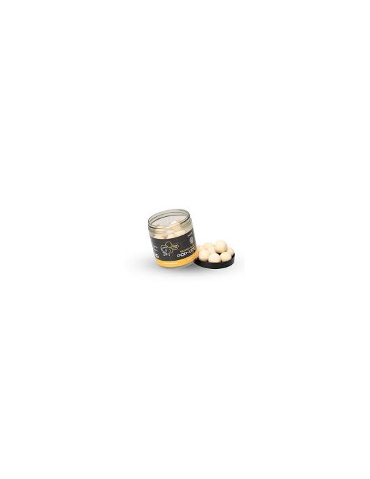 Pop-ups NASH scopex squid white 15mm