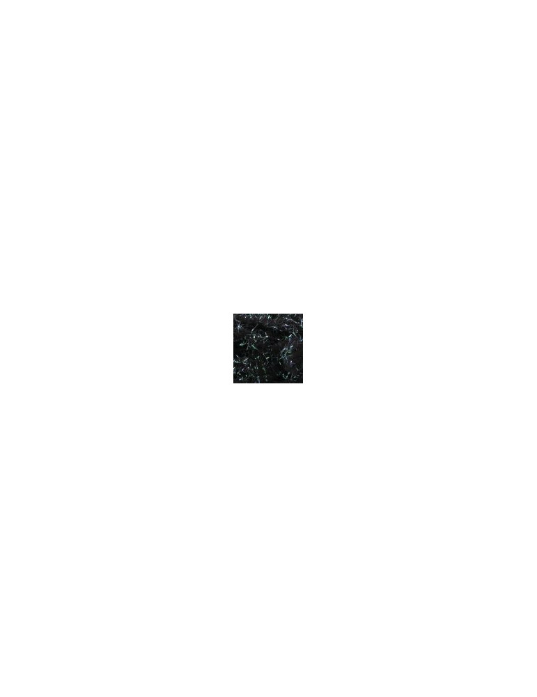 Pearl Eggstasy TEXTREME Noir 12mm
