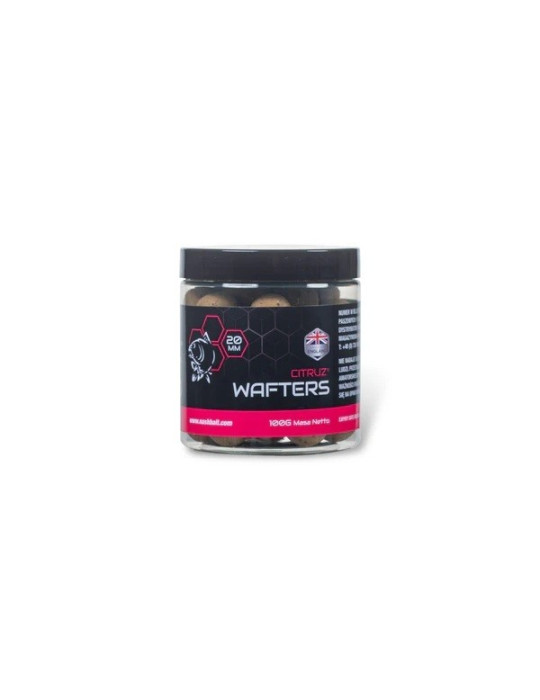 Wafters NASH Citruz natural 20mm