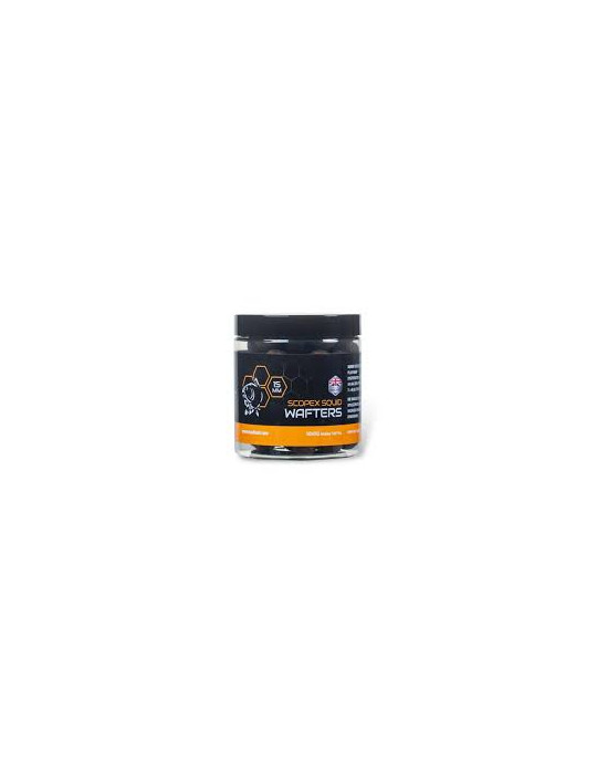 Wafters NASH scopex squid 15mm