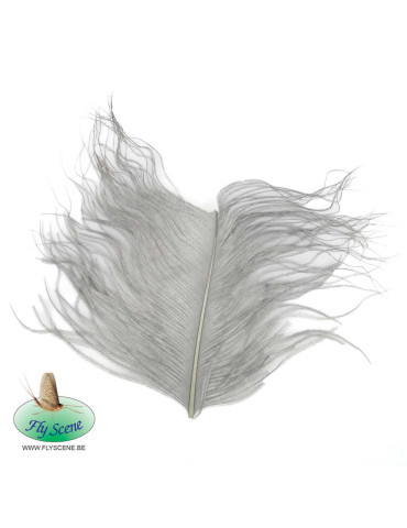Plumes d'autruche FLY SCENE Grise