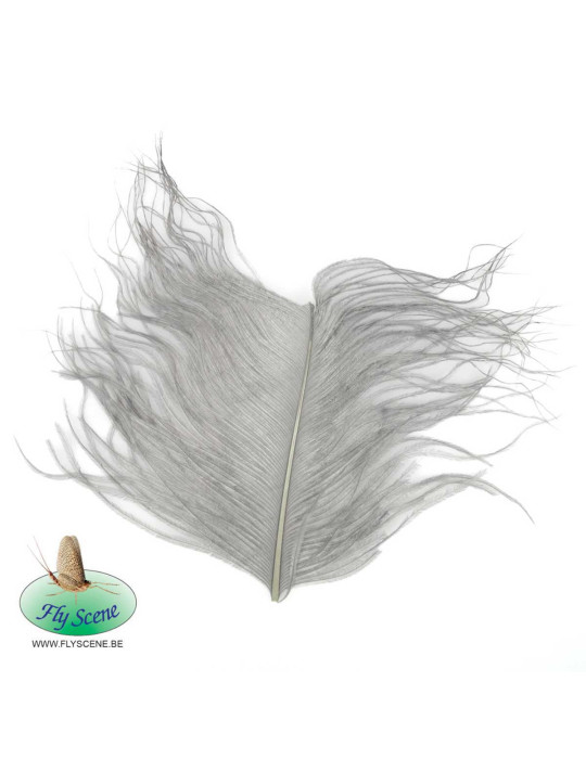 FLY SCENE Ostrich plumes Gray