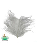 FLY SCENE Ostrich plumes Gray