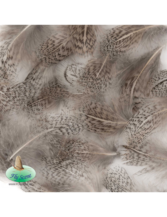 Partridge hackle dyed FLY SCENE Natural Gris