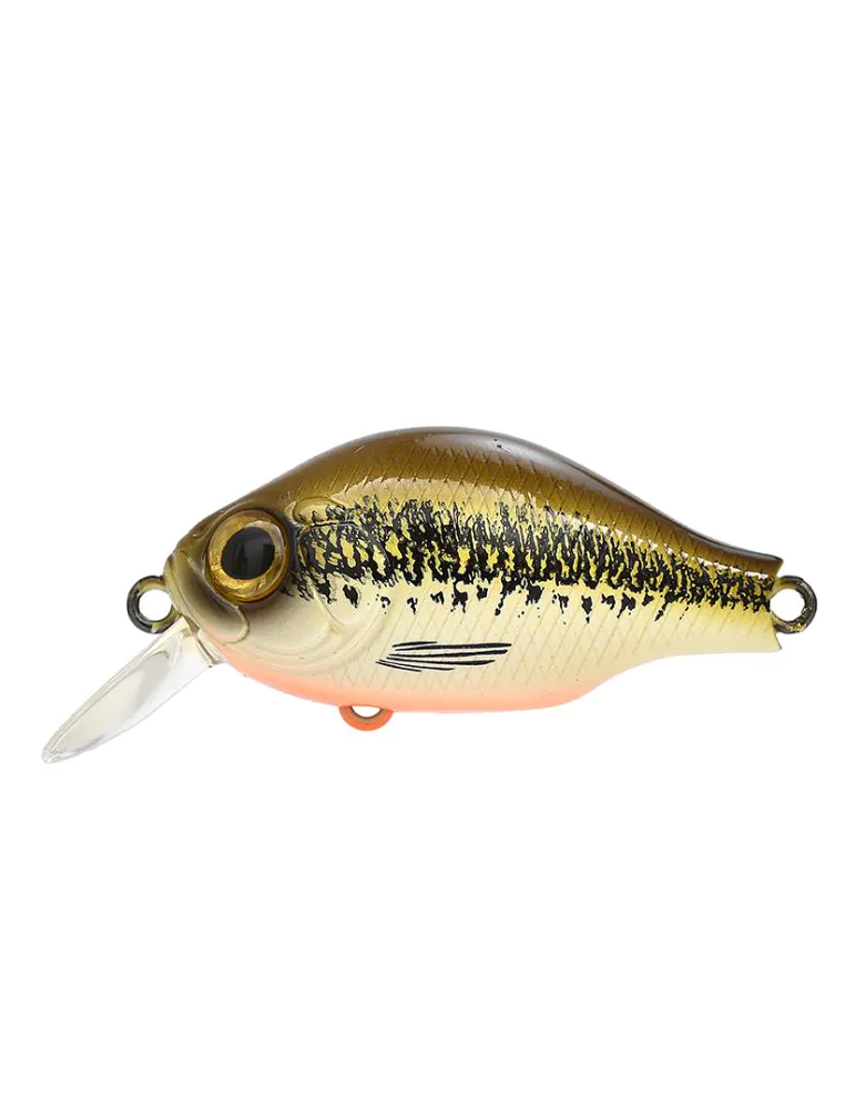 Leurre ZIP BAITS B-Switcher 1.0 Silent NO RATTLE GREEN BACK MINNOW OB