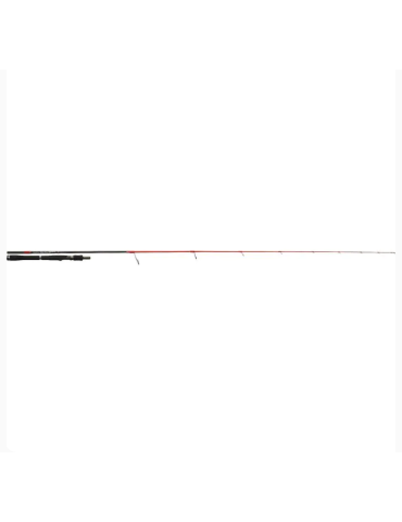Canne TENRYU INJECTION SP 69 ML 2.05m  2-10 gr