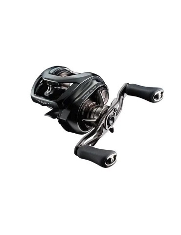 Reel DAIWA 24 Steez sv tw 100HL