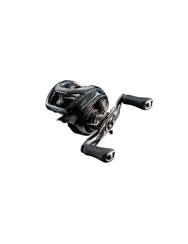 Reel DAIWA 24 Steez sv tw 100HL