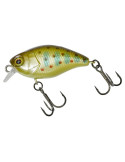 Leurre ILLEX micro chubby 3cm  truitelle