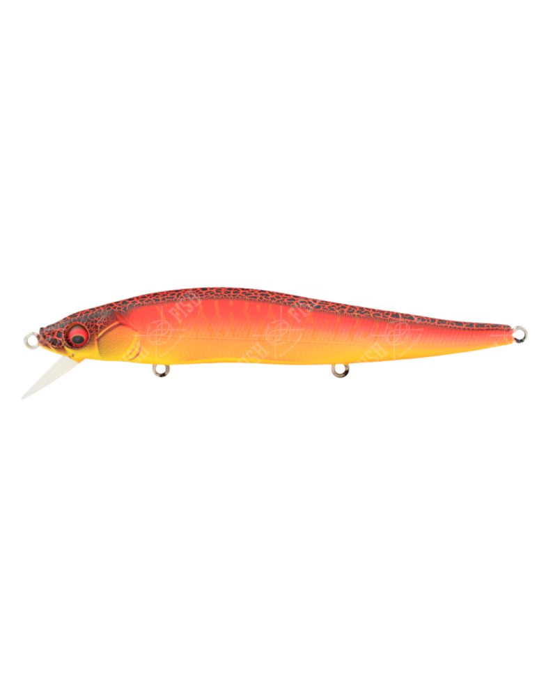 Leurre MEGABASS Vision One ten SR AKA TORA
