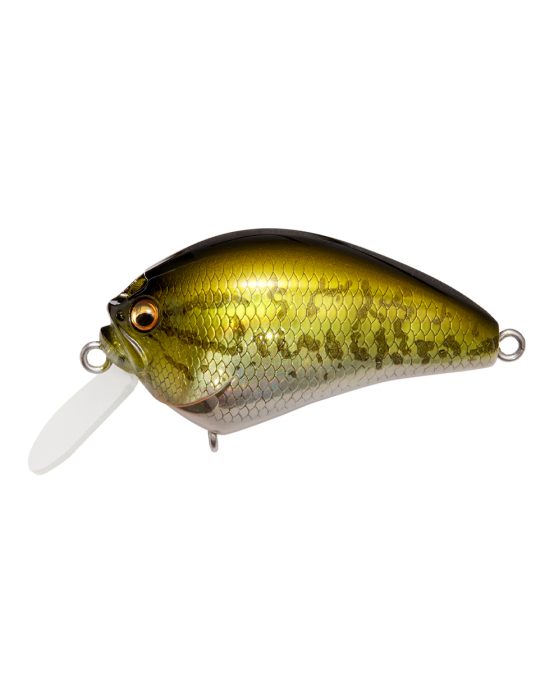 MEGABASS IXI BLOWLY GG Bass
