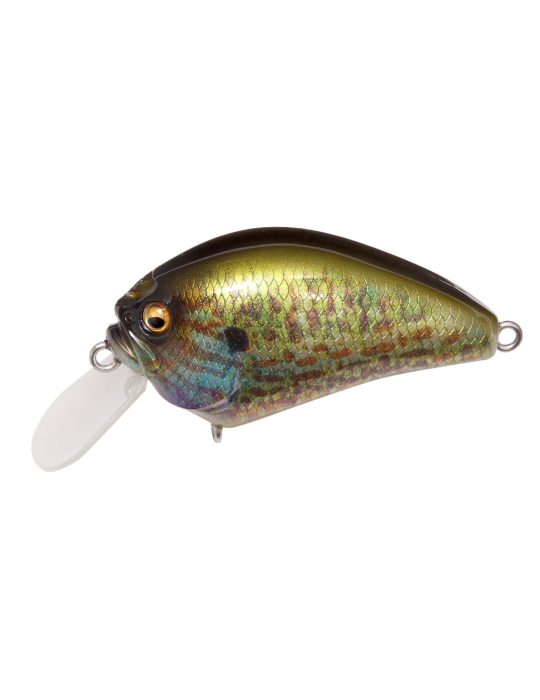 MEGABASS IXI BLOWLY Pumpkin Seed
