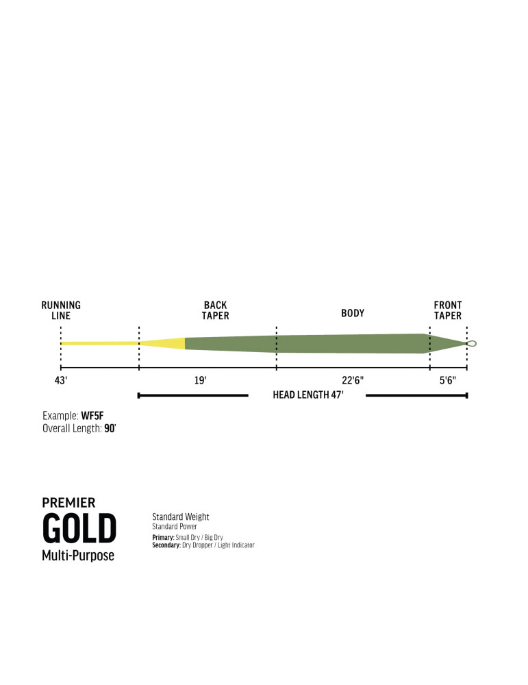 Soie RIO Gold Premier WF5 Flottante