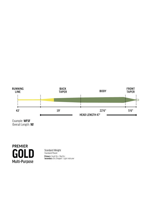 Soie RIO Gold Premier WF5 Flottante