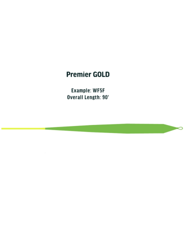 Soie RIO Gold XP WF5 Flottante 2