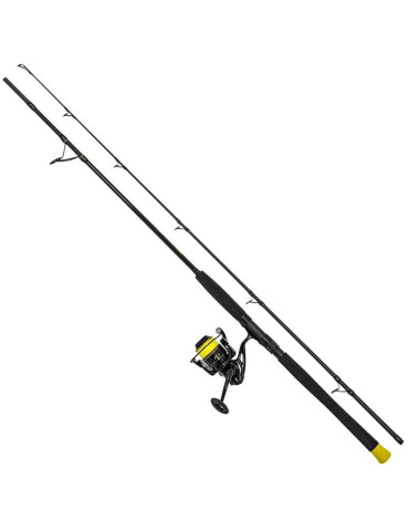 Canne BLACK CAT hard core spin 20-200gr+ moulinet black passion FD 50