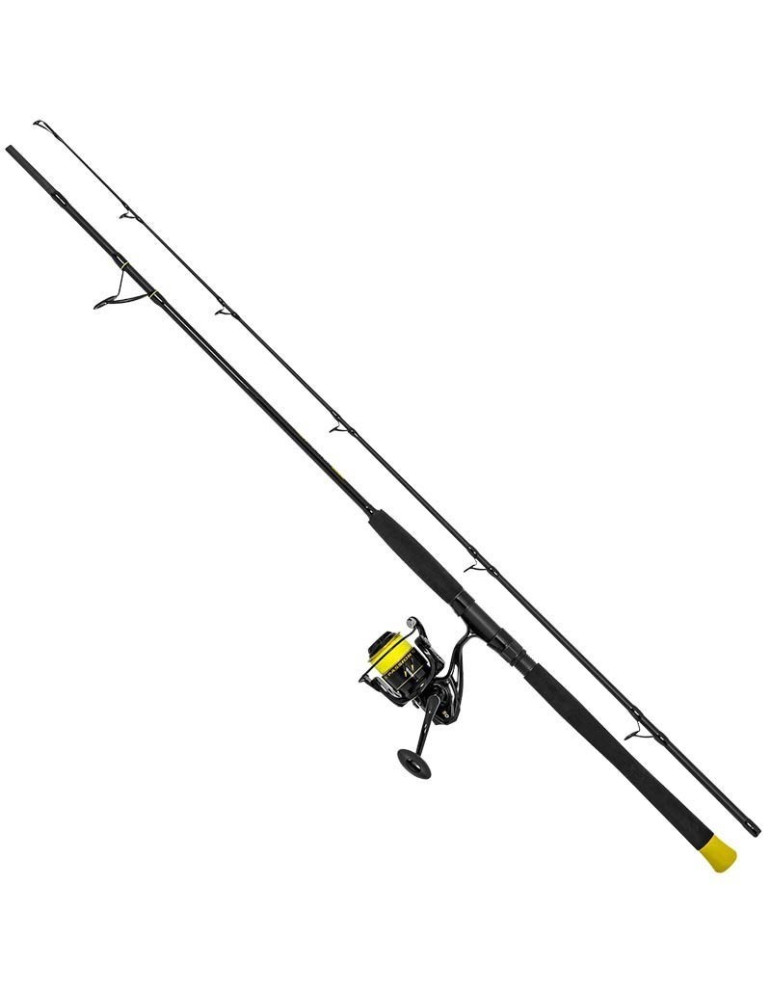 Canne BLACK CAT hard core spin 20-200gr+ moulinet black passion FD 50